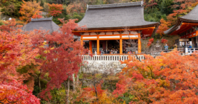 Japonsko: Od tokijských neonů po zenové zahrady | Duben 2026