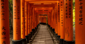 Japonsko: Od tokijských neonů po zenové zahrady | Duben 2026