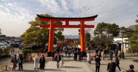 Japonsko: Od tokijských neonů po zenové zahrady | Duben 2026