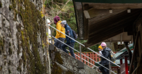 Japonsko: Od tokijských neonů po zenové zahrady | Duben 2026