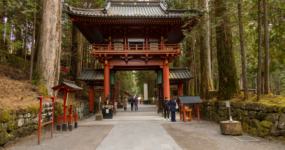 Japonsko: Od tokijských neonů po zenové zahrady | Duben 2026