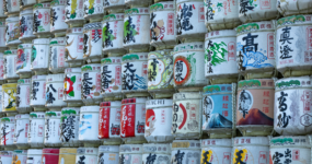 Japonsko: Od tokijských neonů po zenové zahrady | Duben 2026