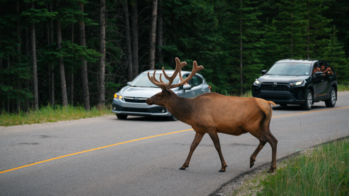 Kilimandžáro – cesta na střechu Afriky