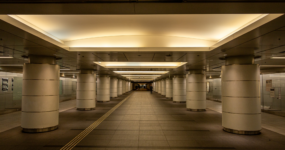 Japonsko: Od tokijských neonů po zenové zahrady | Duben 2026