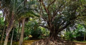 Azory: Trek a relax na ostrově São Miguel | Květen 2026