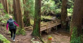 Azory: Trek a relax na ostrově São Miguel | Květen 2026