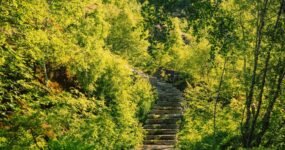 Lofoty: Za Polárním kruhem | Červen 2026