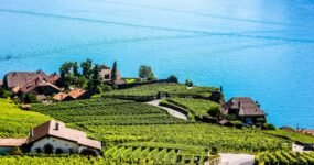 Na fotbal: Benfica & Lisabon – fotbal, město, víno