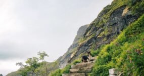 Lofoty: Za Polárním kruhem | Červen 2026